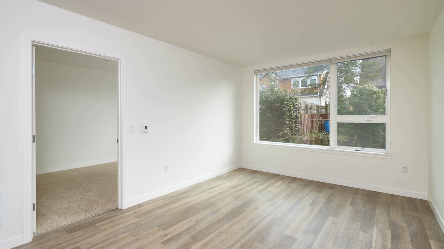Springline Image 40