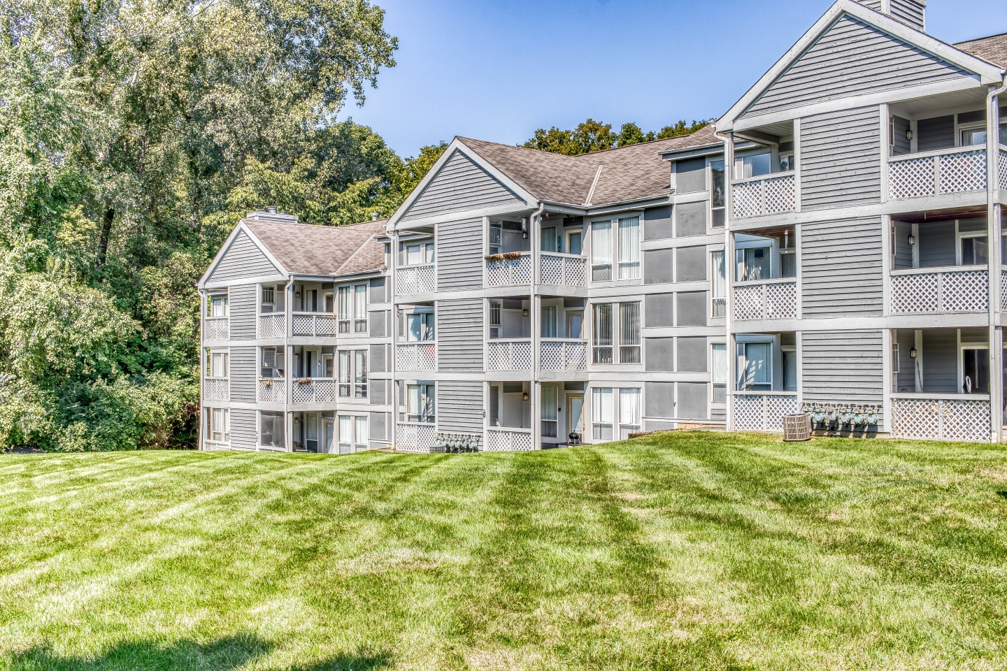Hibernia Apartments Image 3