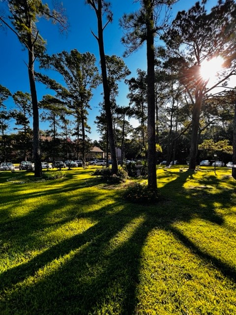 Treemont Senior Living Image 14