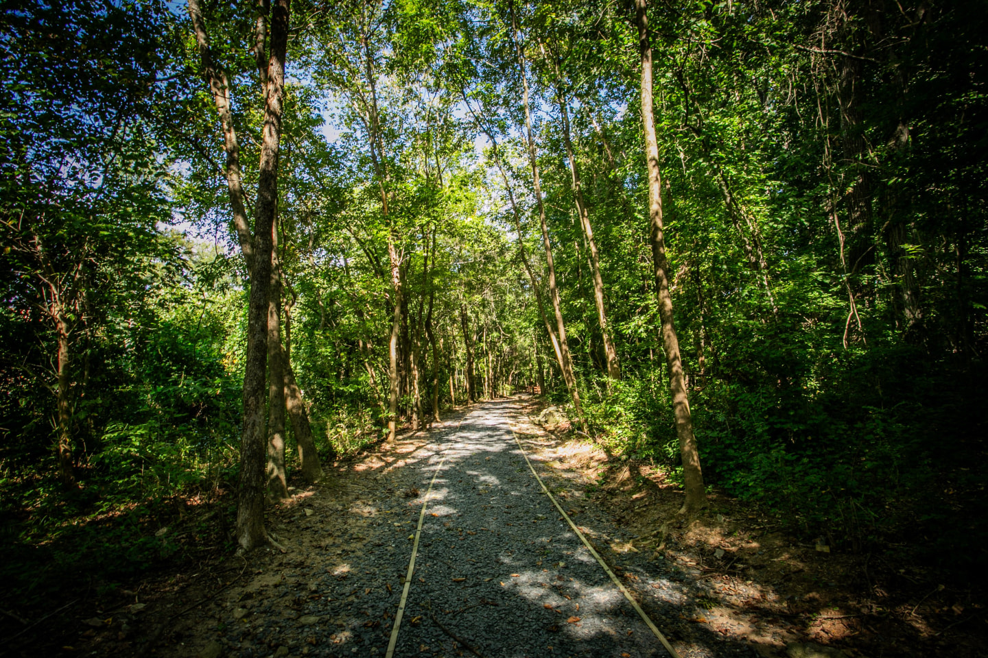Stone Creek at Brookhaven Image 25