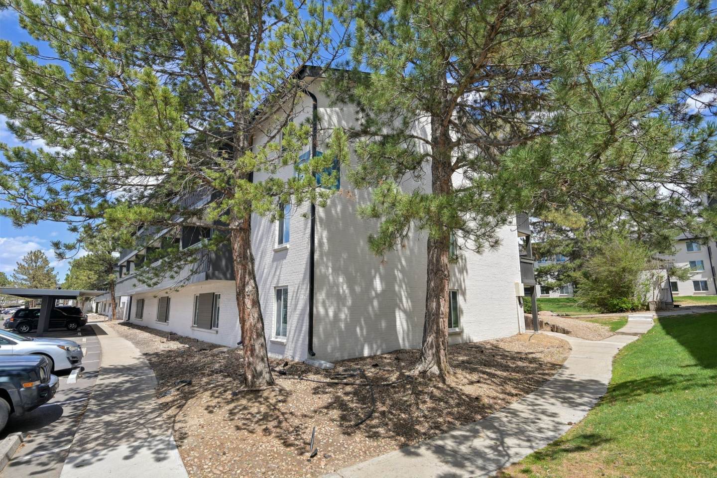 3300 Tamarac Image 29