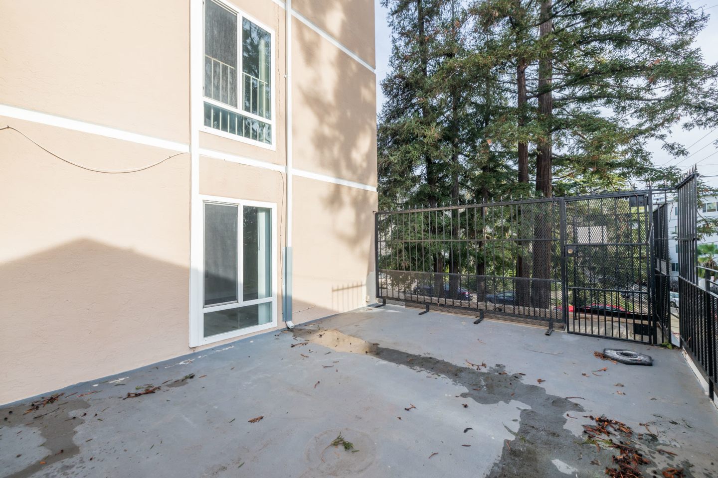 257 Vernon Apartments Image 30