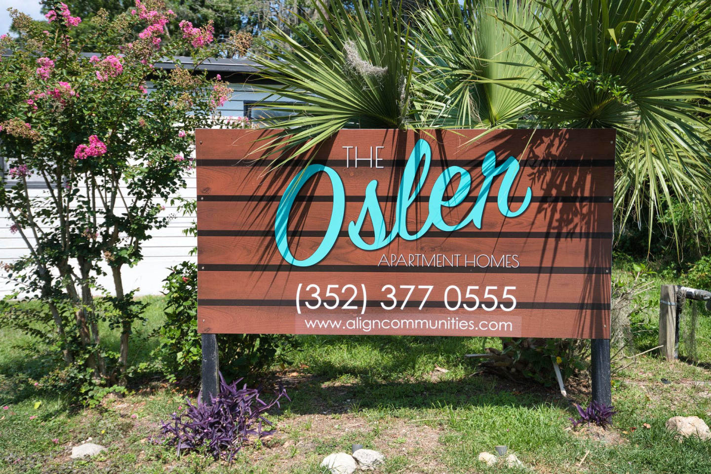 The Osler Image 10