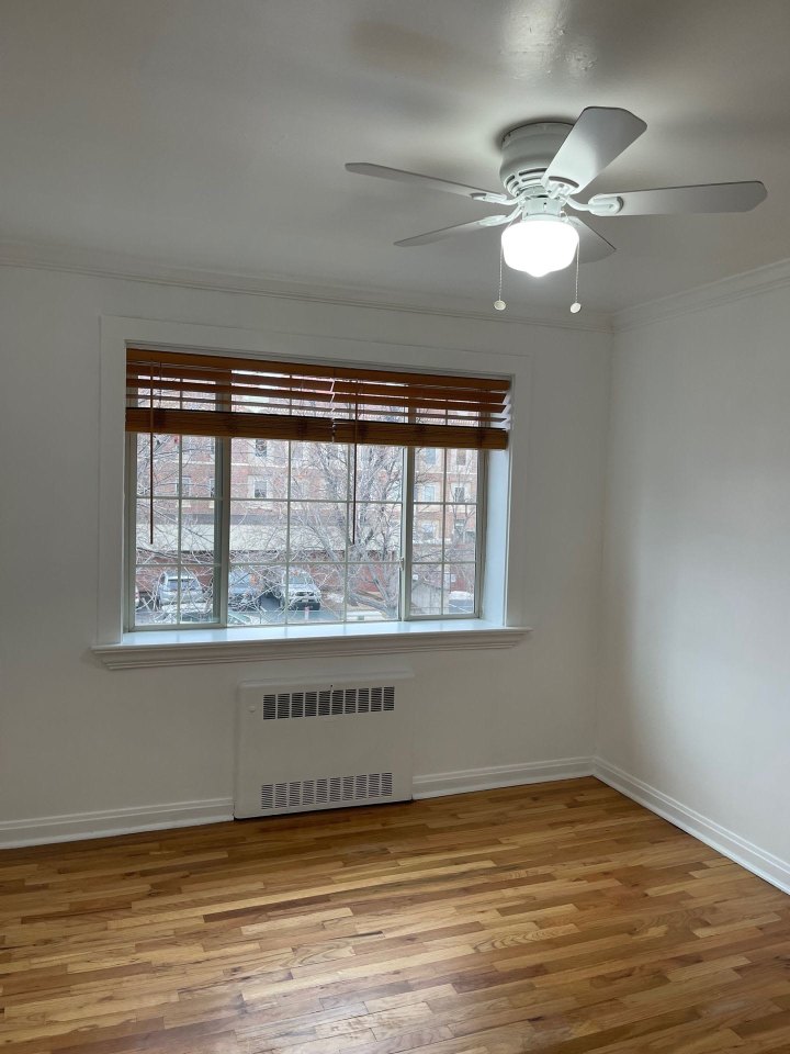 Albion Apartments Image 7
