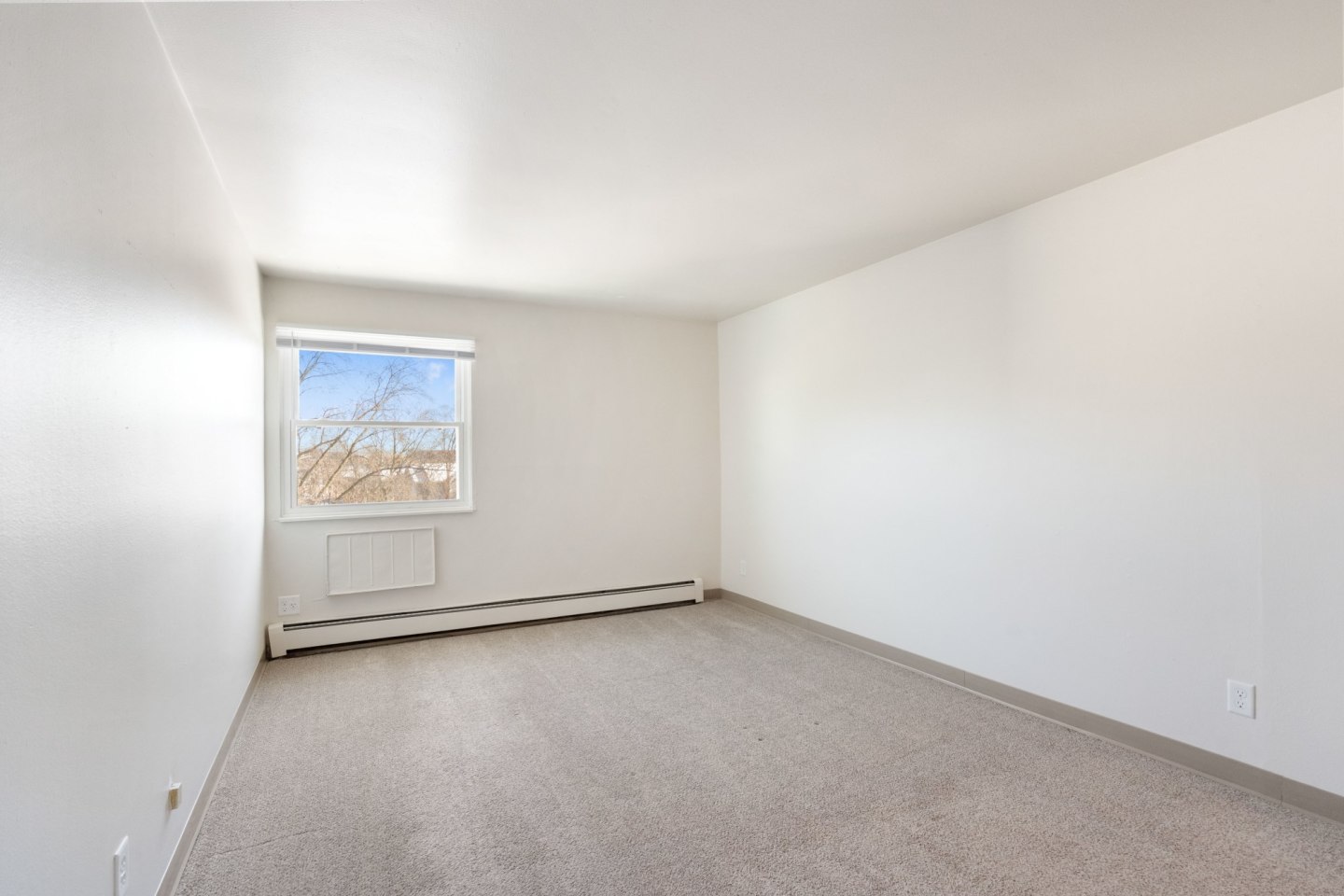 Springdale Apartments Image 6