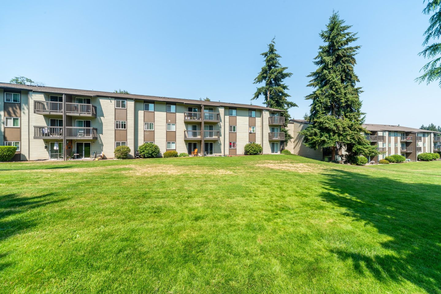 Terra Apartments Image 14