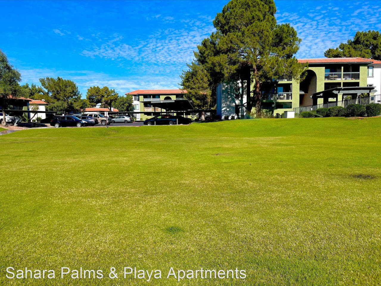 Sahara and Playa Palms Apartments Image 1