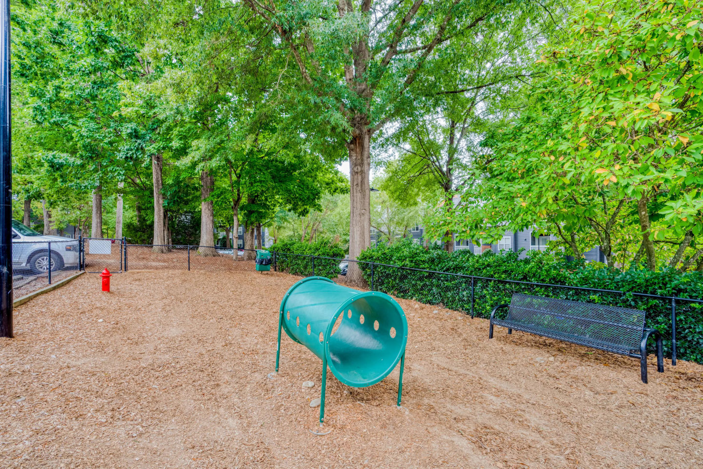 Hyde Park Image 21