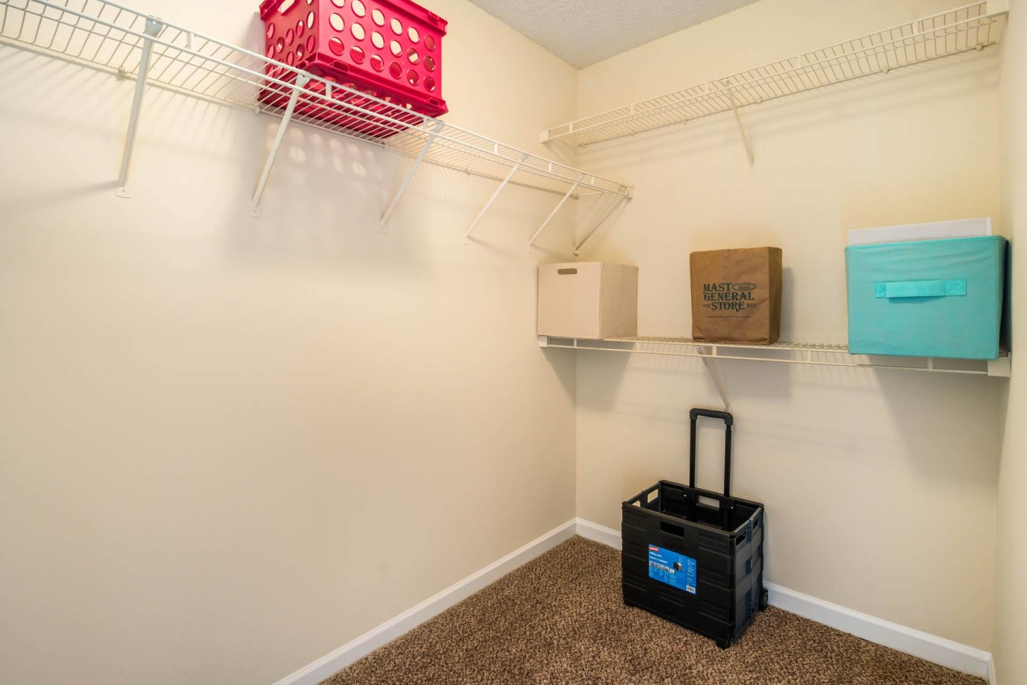 Cedar Springs Apartments Image 10