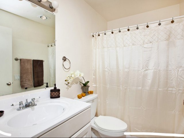 Elan Casa Mar Image 17