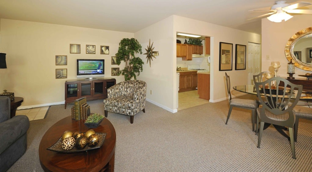 North Shore Gardens Apartments Image 18