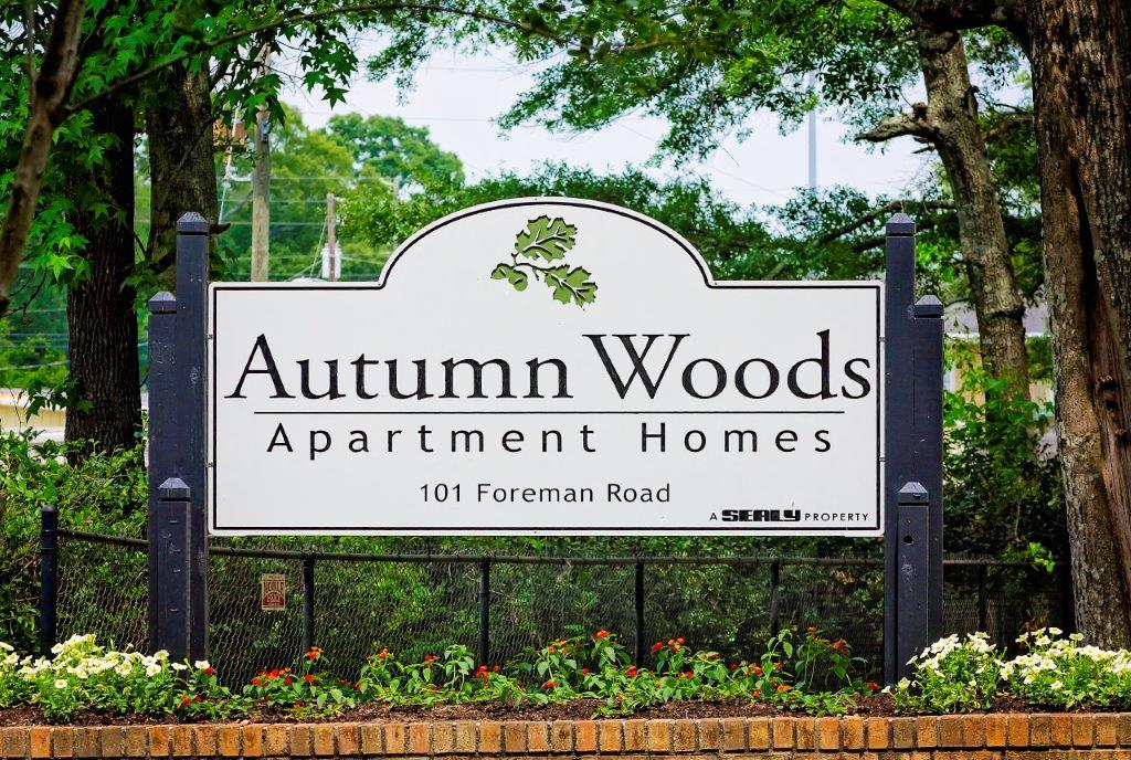 Autumn Woods Image 18