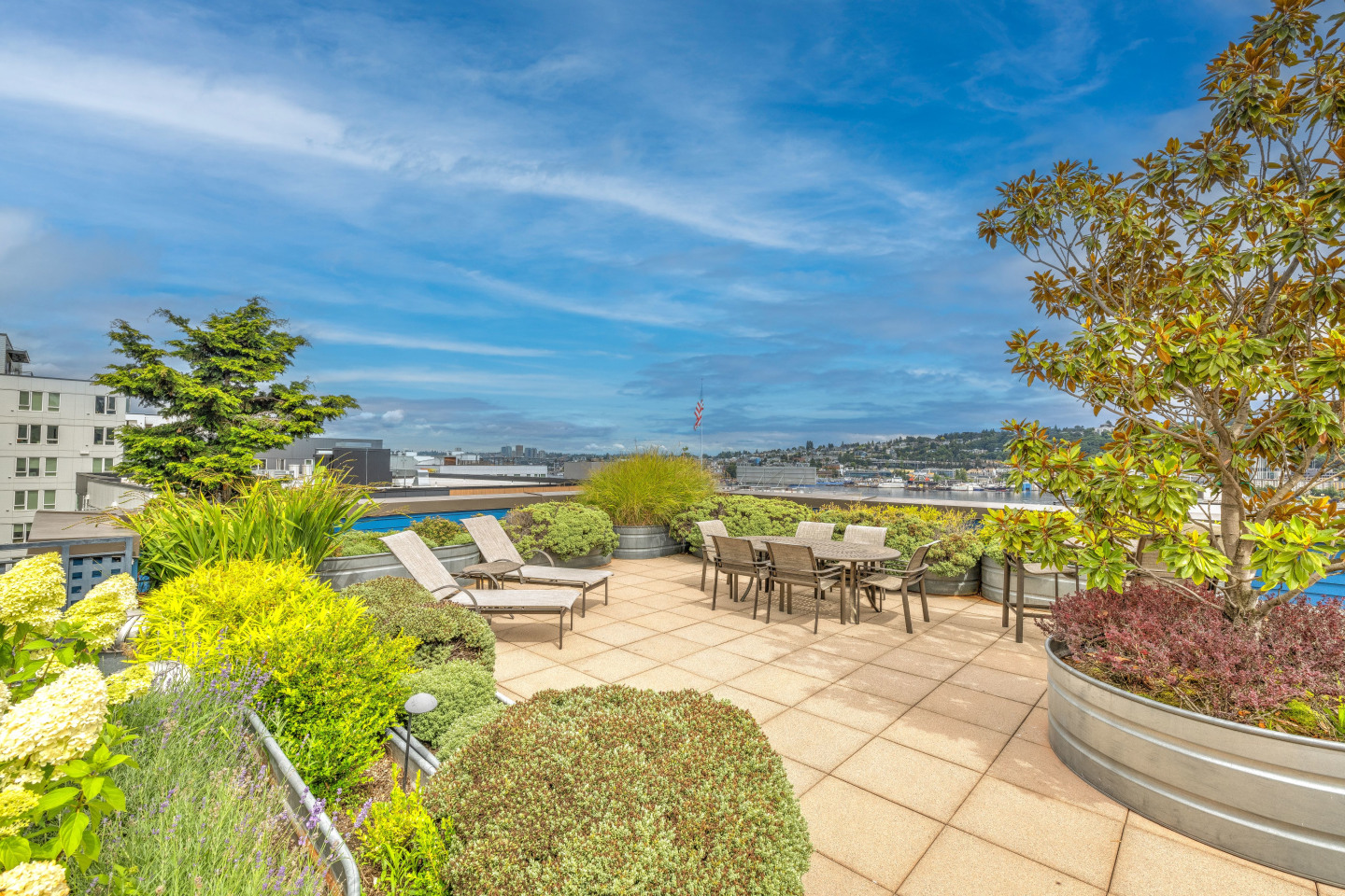 Dexter Lake Union Image 19