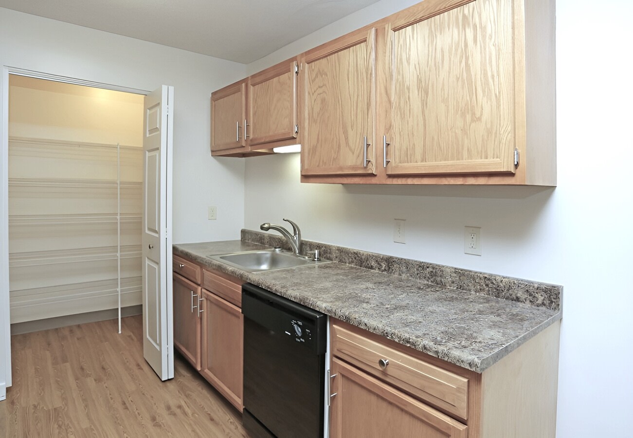 Fenimore Trace Image 12