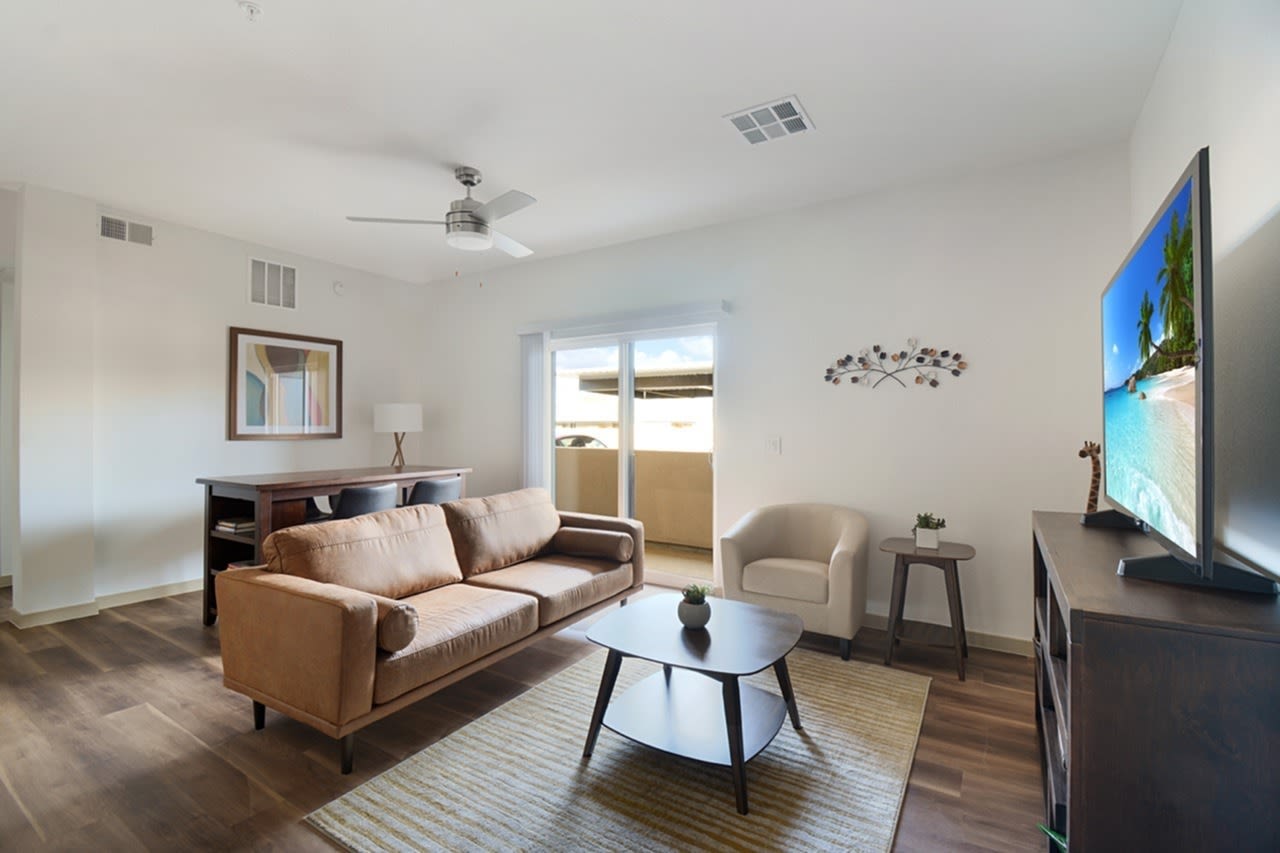 59 Evergreen Image 26