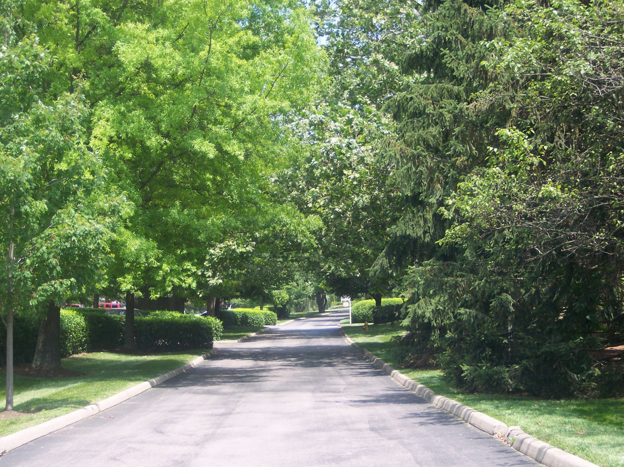 Merrick Place Image 55