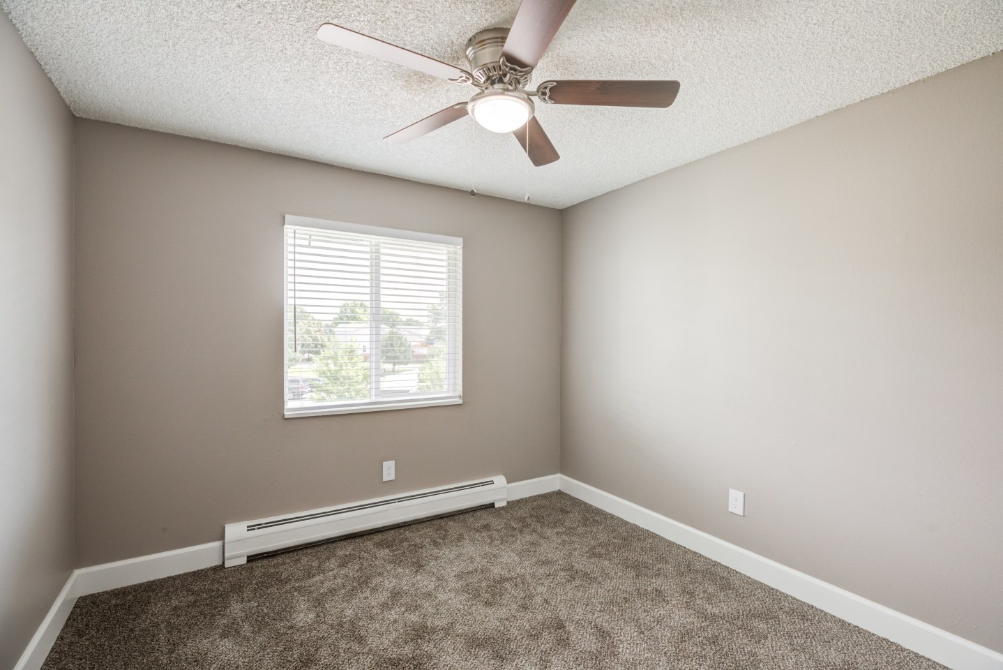 The Carson Image 15