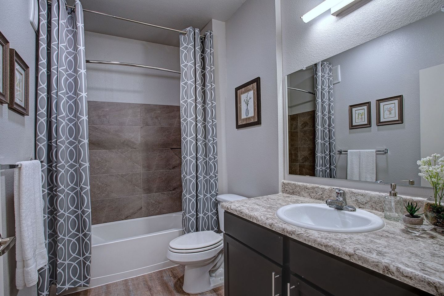 Vantage at Helotes Image 8