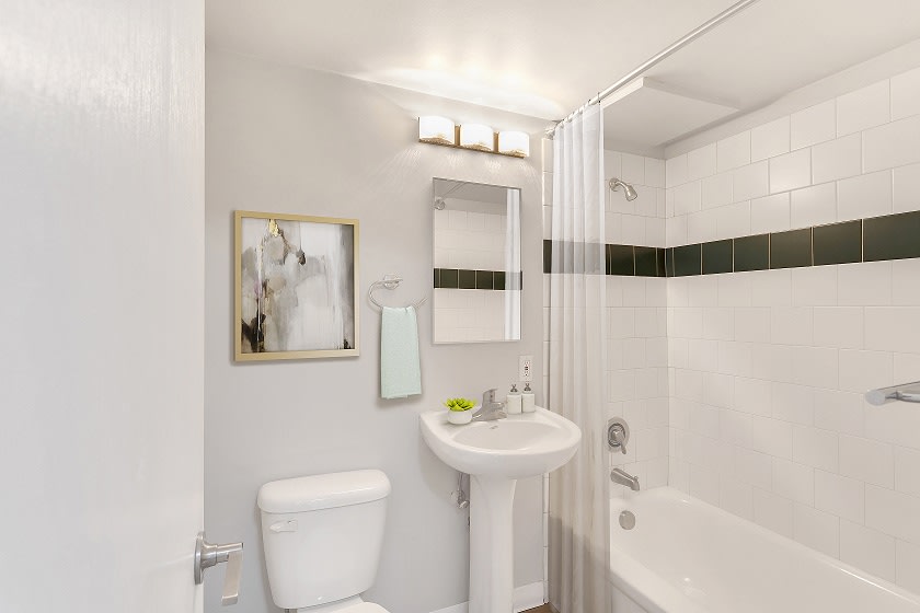 870 Cherry Image 5