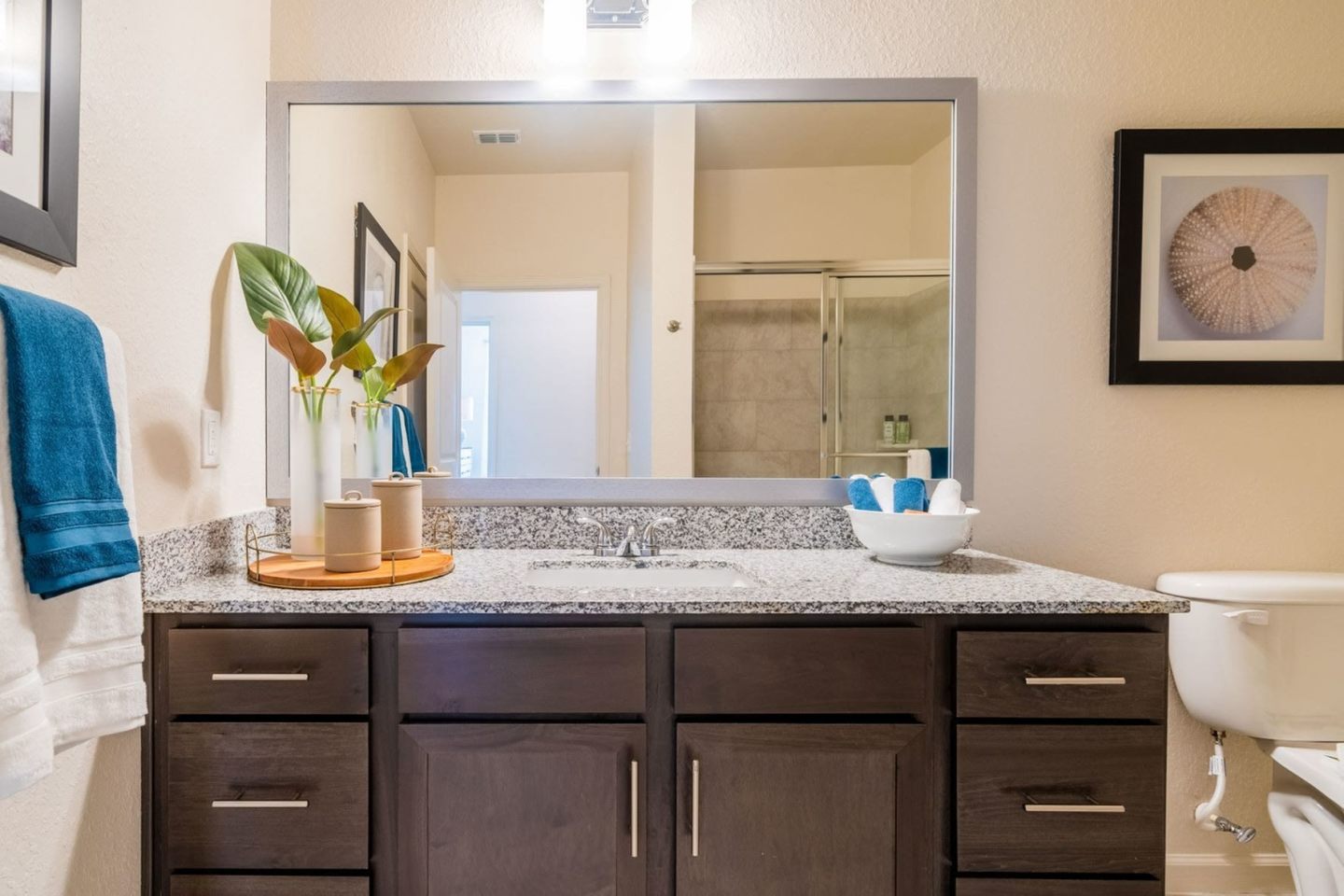 Sovana at Stuart - 55+ Active Adult Apartment Homes Image 7
