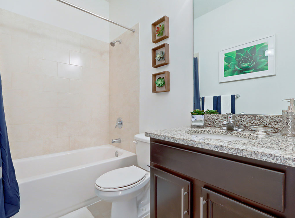AMLI Toscana Place Image 26