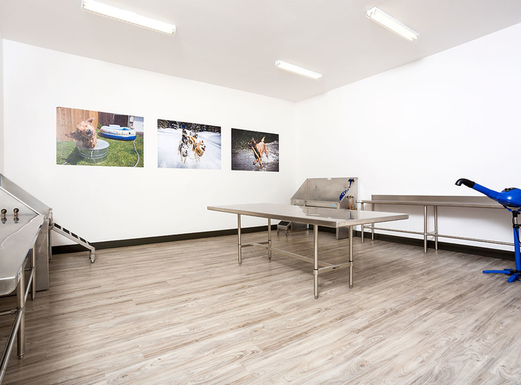AMLI Cherry Creek Image 14