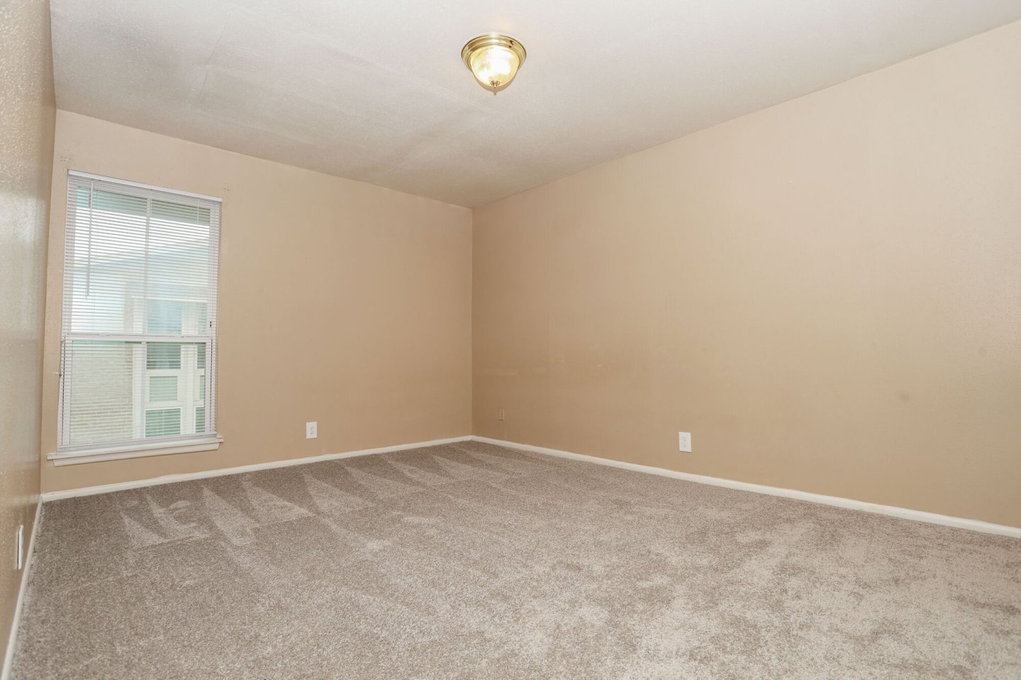 Cypress Cove Image 15