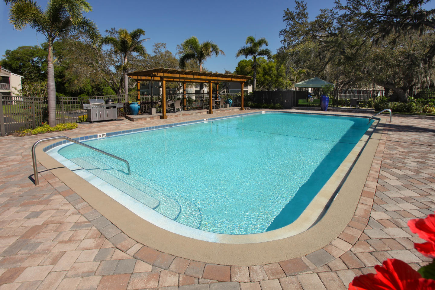 Agora at Port Richey Image 4
