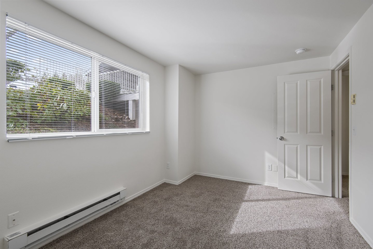 Langara Image 24