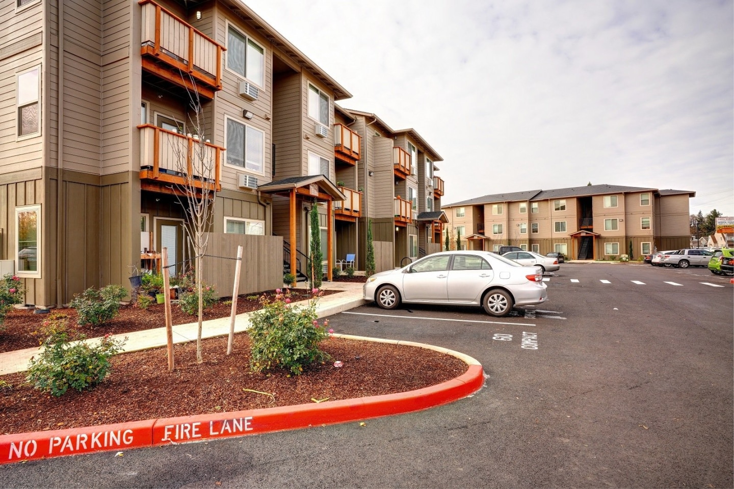 Willow Tree Place Apartments Image 13