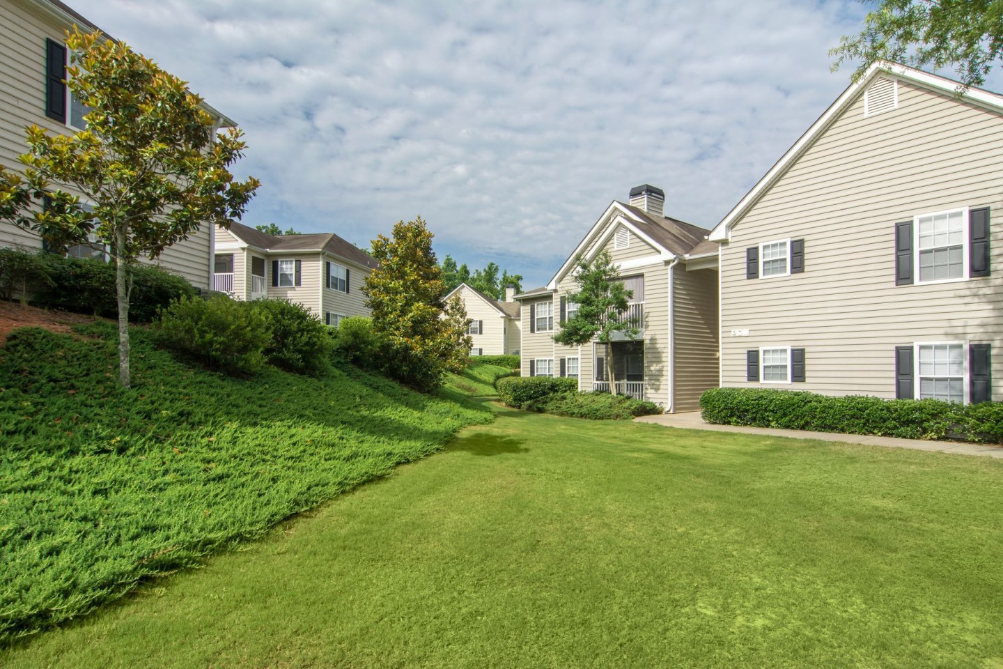 Evergreen Park Image 14