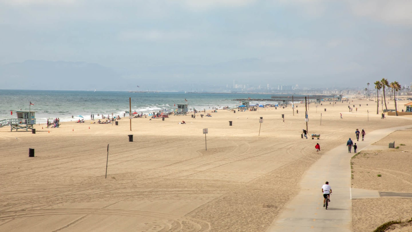 Mariposa at Playa Del Rey Image 37