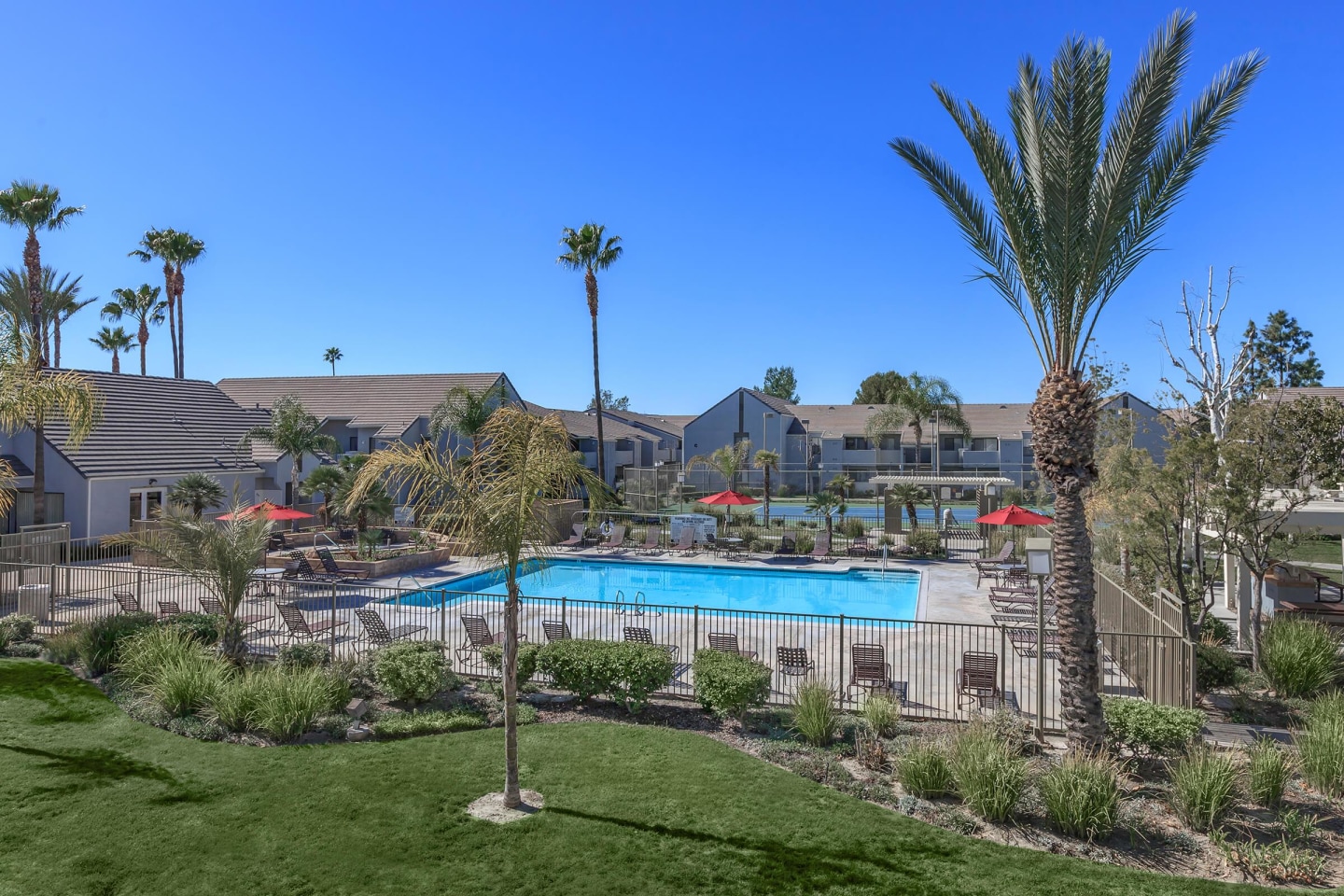 Palm Court Apartment Homes Image 12