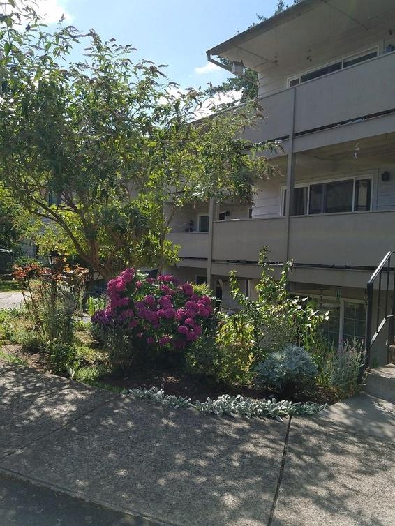 Rochelle Apartments Image 5