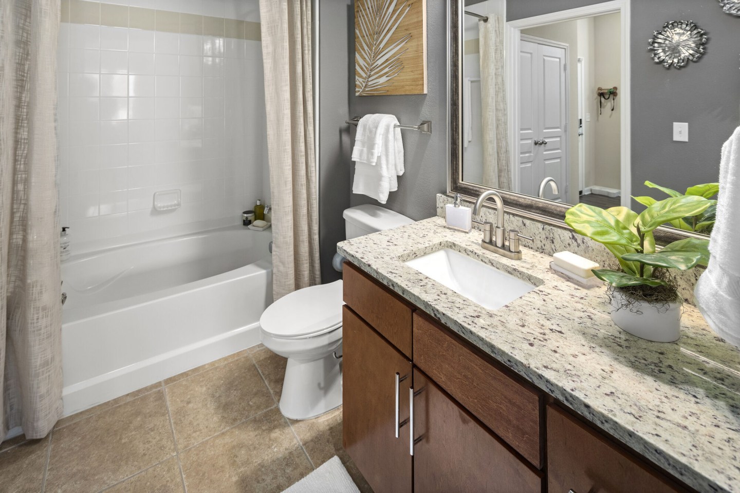 Celsius Apartment Homes Image 1