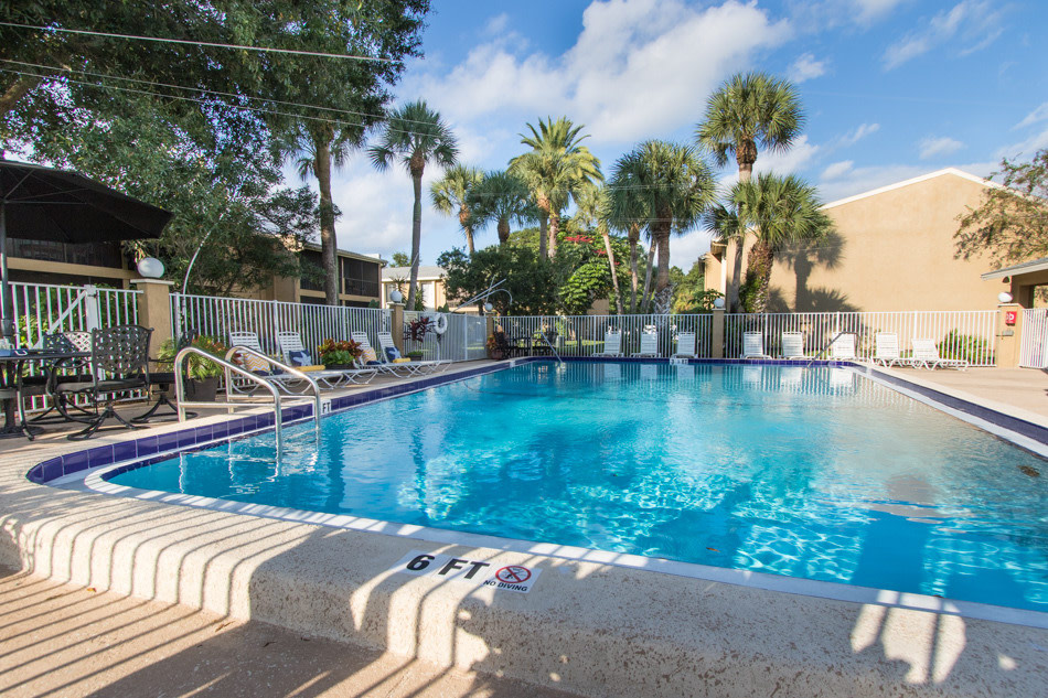 Silver Palms Image 13