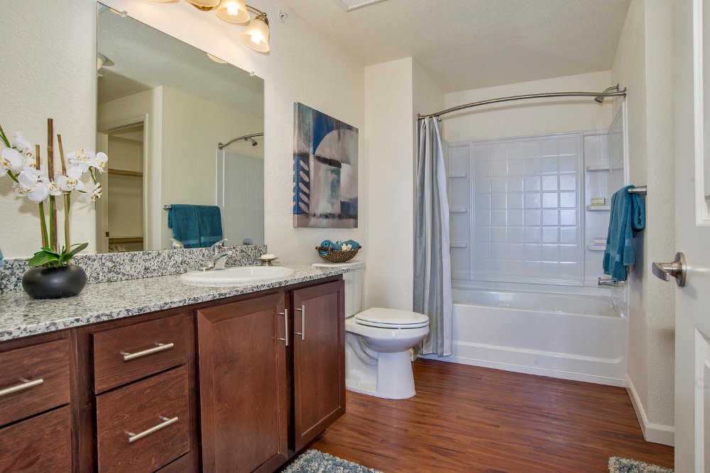 Ironhorse Apartments Image 7