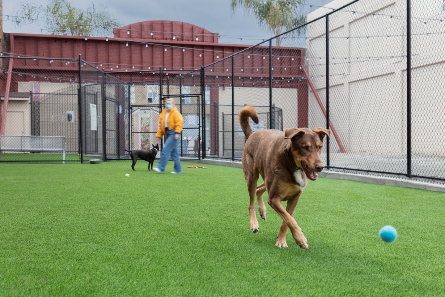 Sparq Image 34