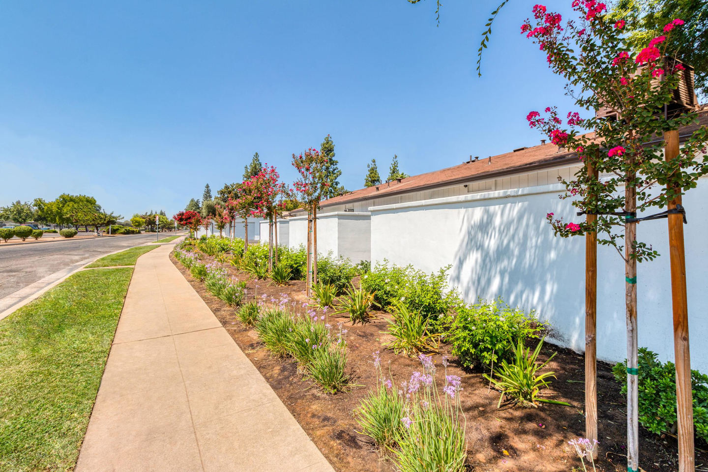 Arbor Collection Image 10
