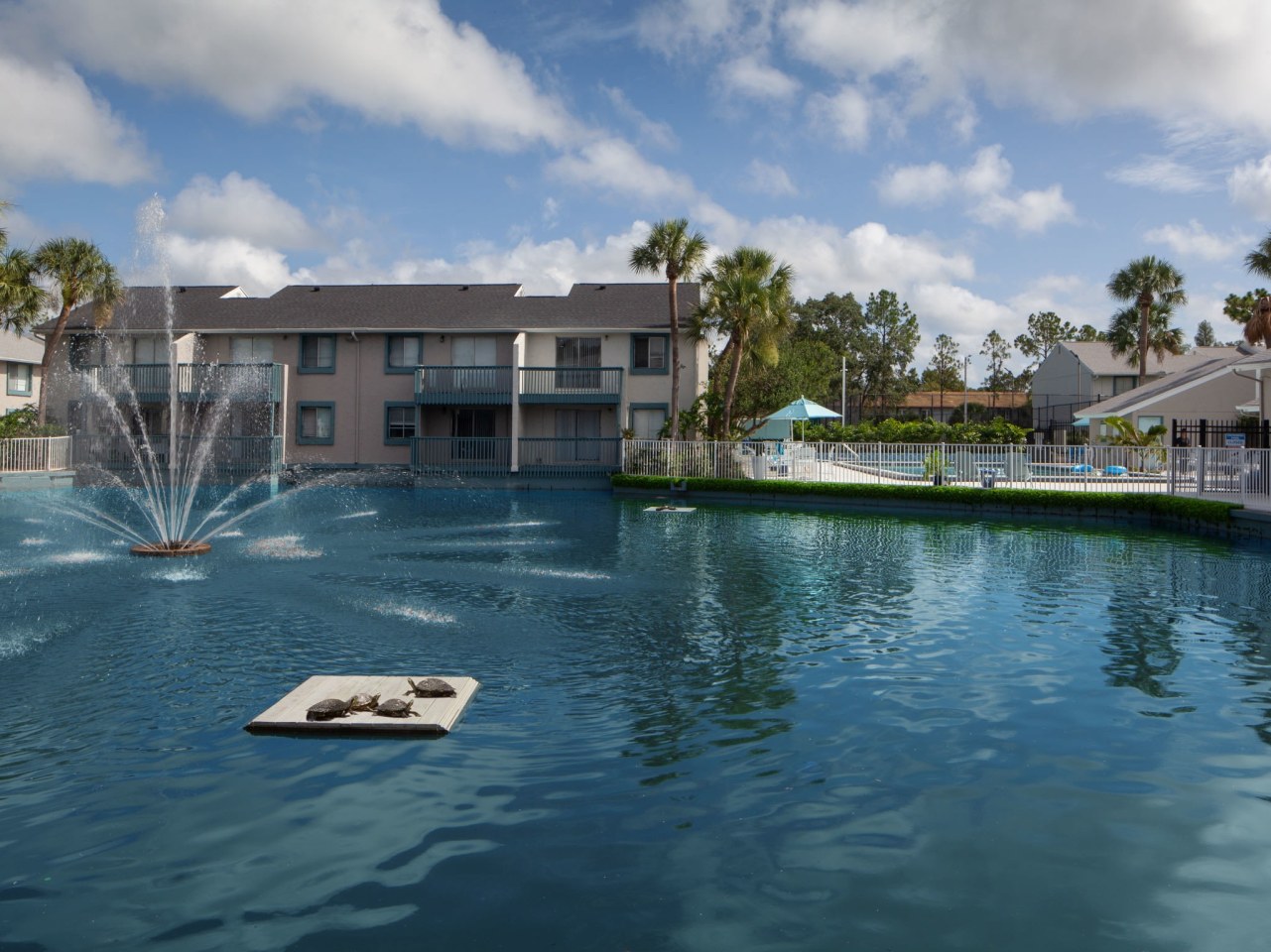 The Bahia Image 49