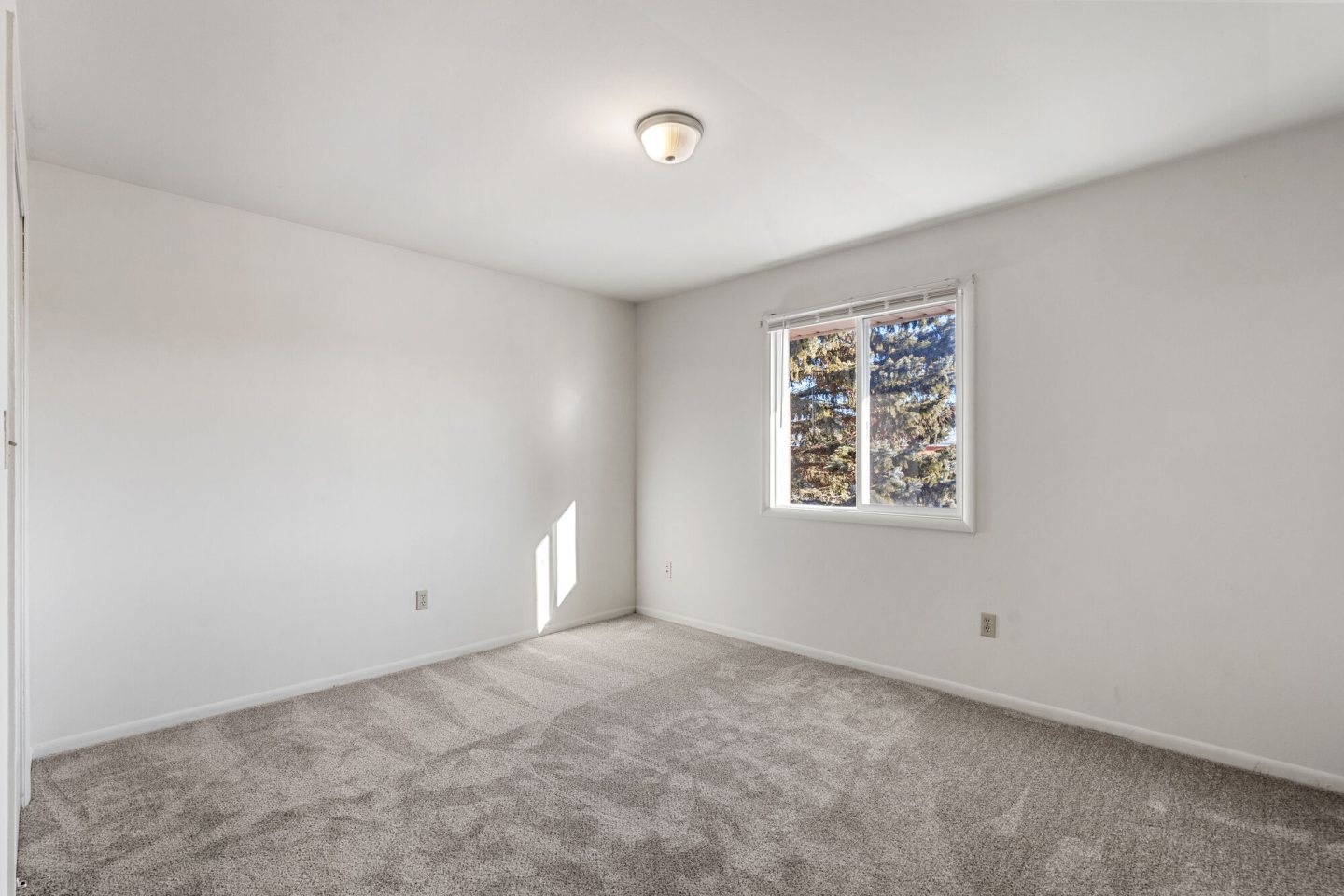 Geneva Street Apartments Image 7