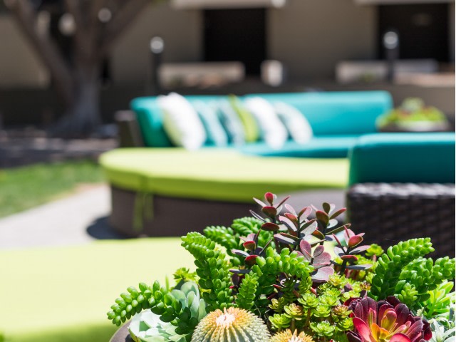 Scottsdale 59 Image 22
