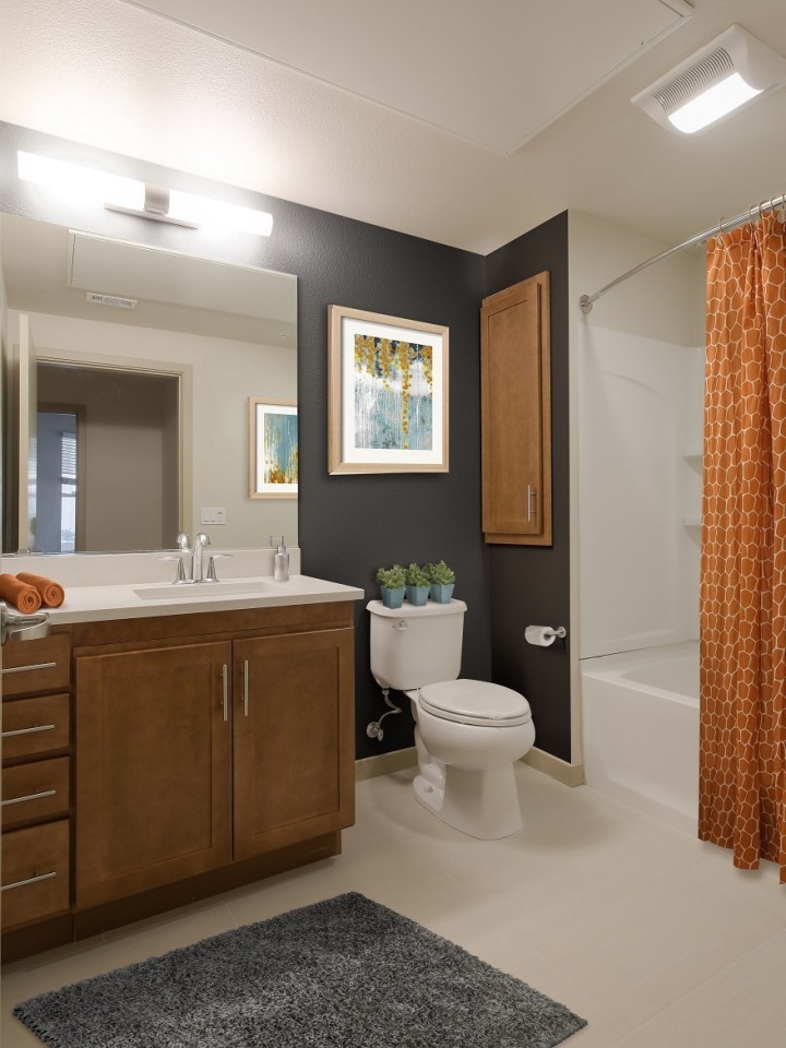 121 Tasman Image 10
