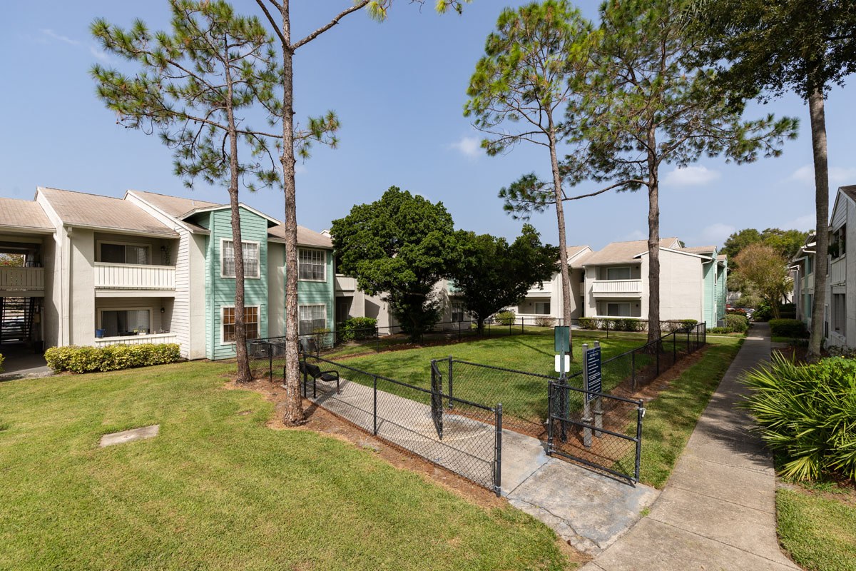 Ascent Citrus Park Image 34