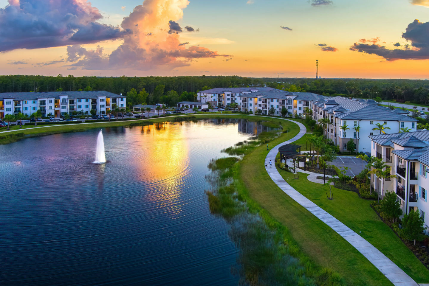 Town Treeline Image 14