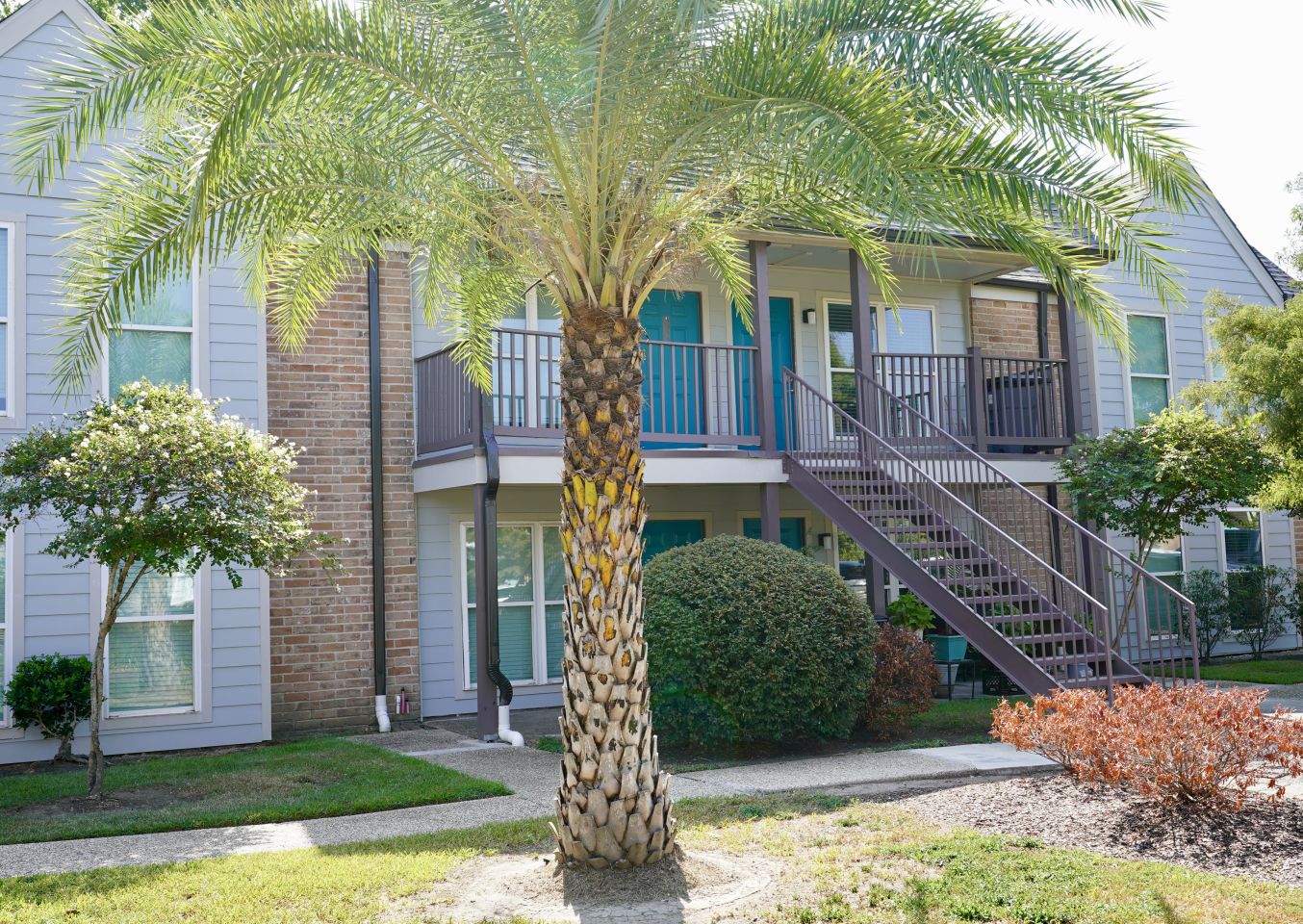 The Mayfair Apartment Homes Image 30