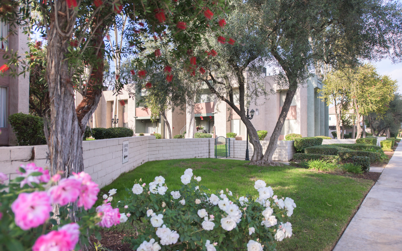 San Gabriel Villa Image 1