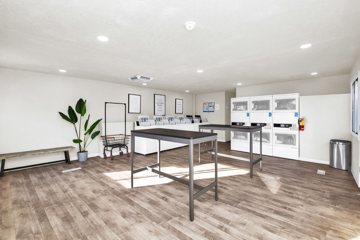 Ivy Apartment Homes Image 11