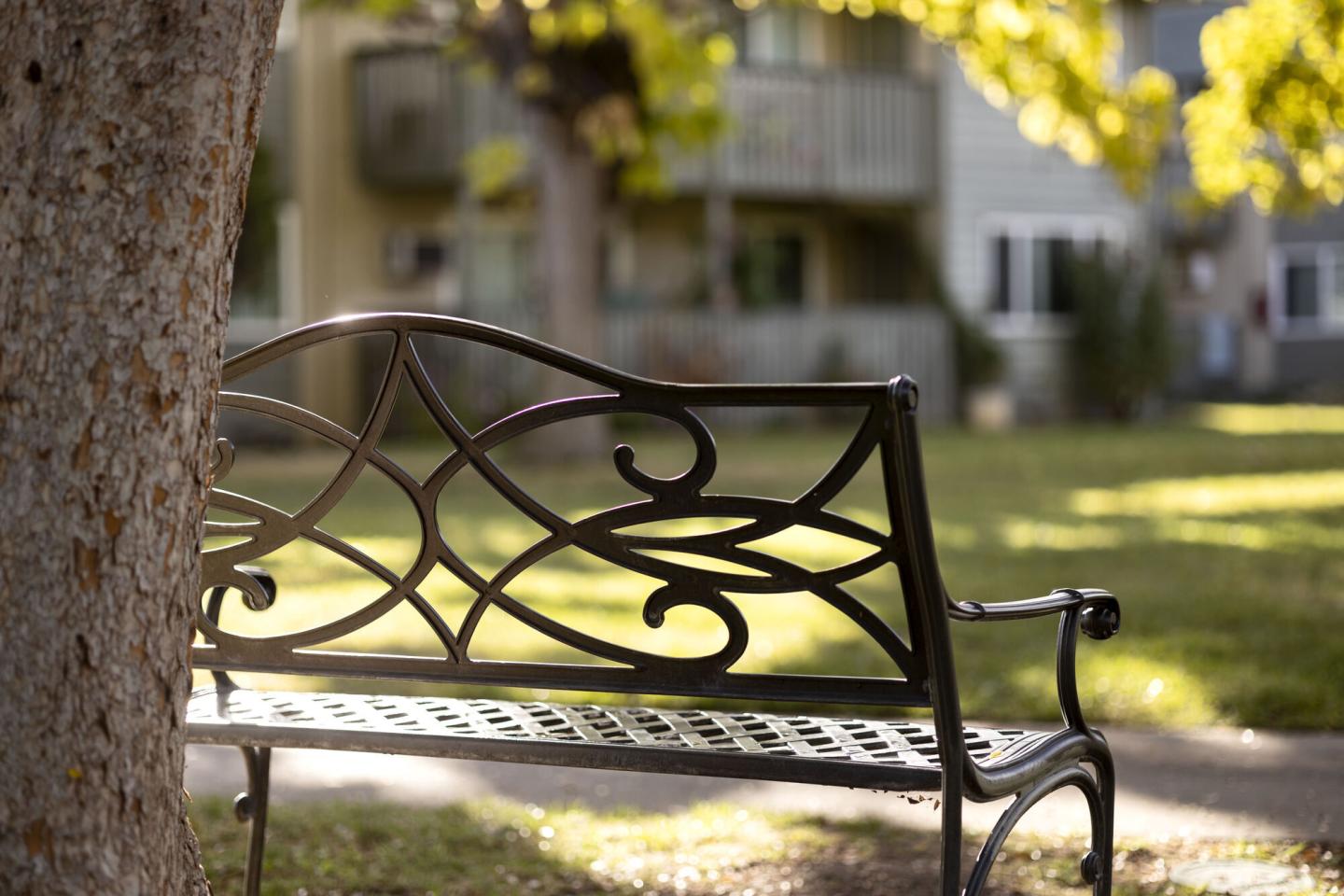 McClellan Terrace, A Prometheus Neighborhood Image 19