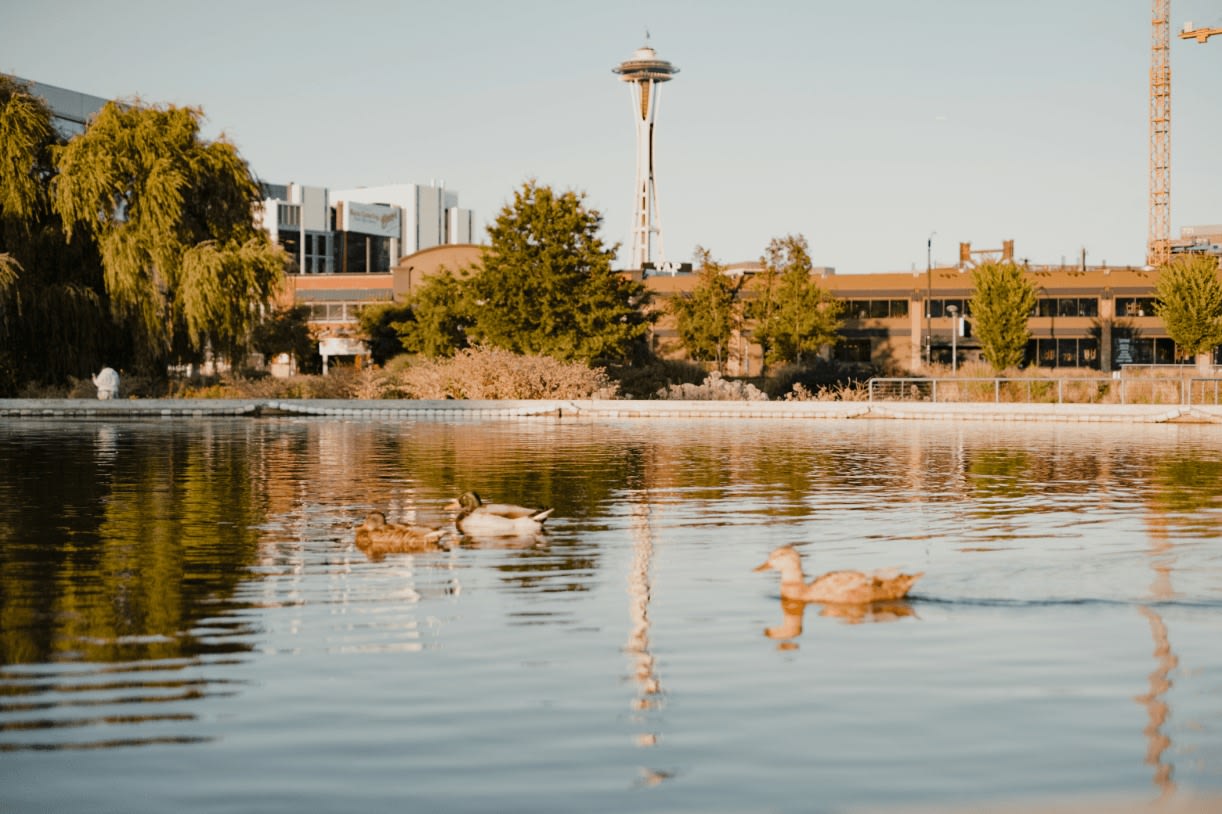 Dexter Lake Union Image 10